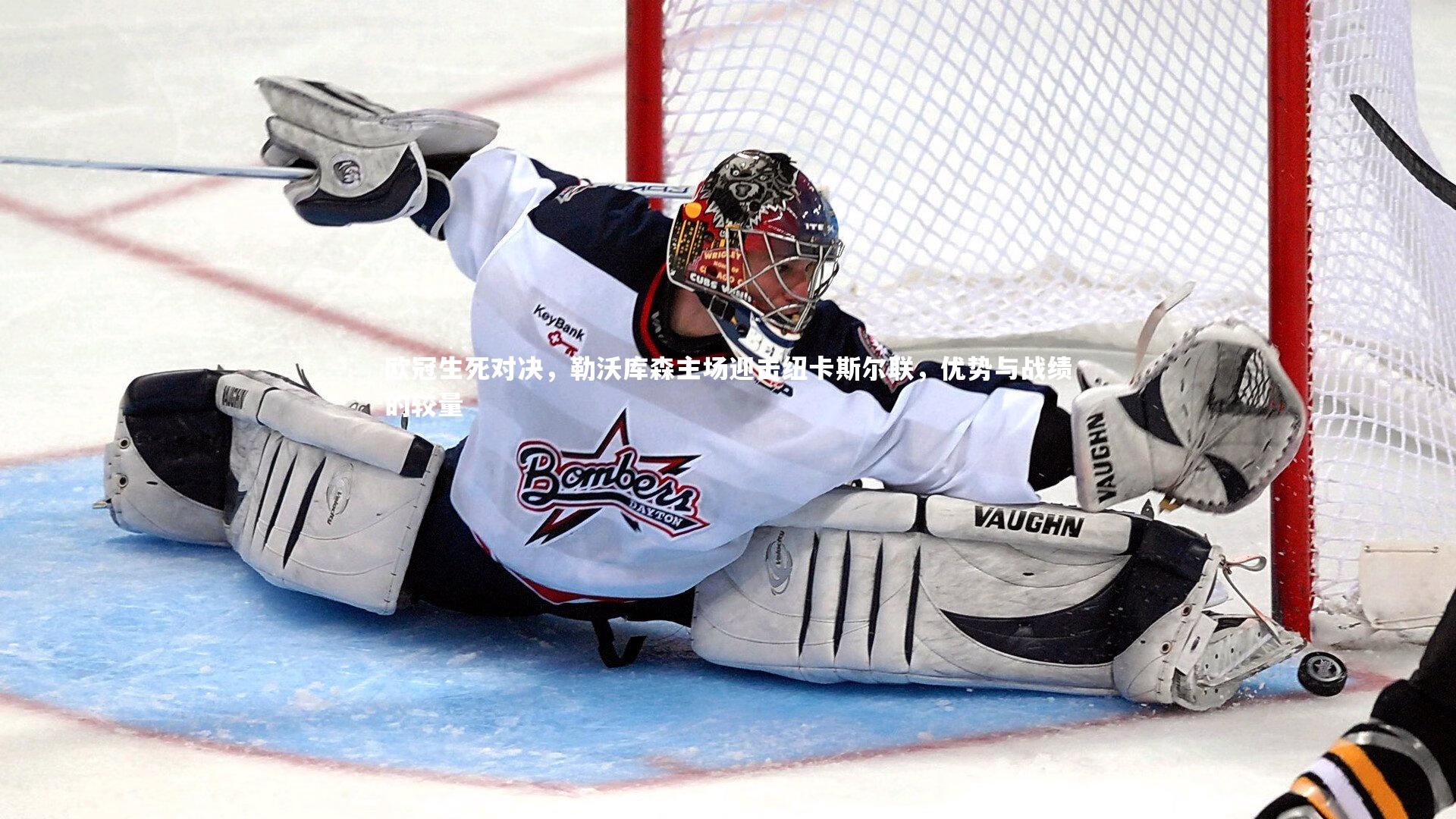 欧冠生死对决,勒沃库森主场迎击纽卡斯尔联,优势与战绩的较量